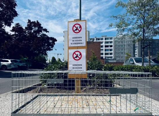 duivenoverlast Mechelen duivenoverlast Mechelen
