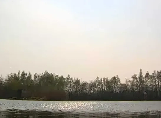 dekshoevevijver dekshoevevijver
