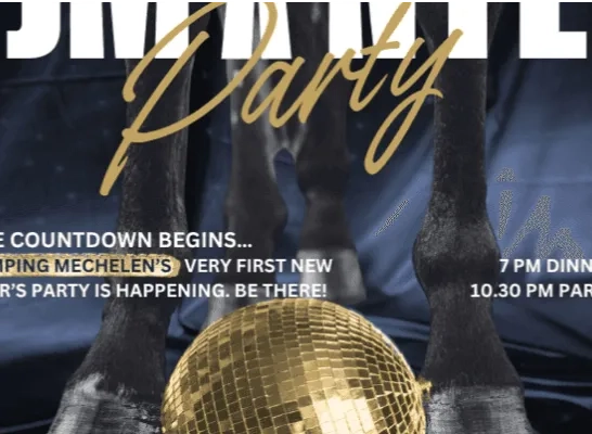 Eindejaarsparty in Nekkerhal