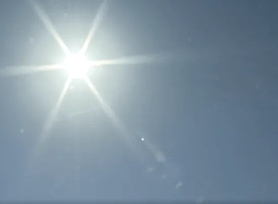 zon zon