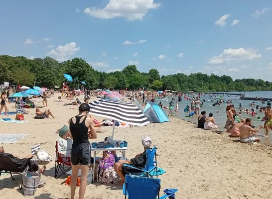 Geen stormloop aan de Nekkerhal in Mechelen