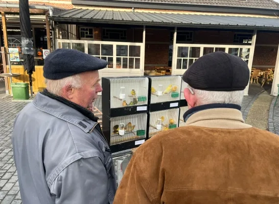 dierenmarkt1.jfif