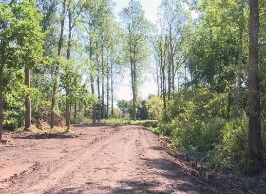 Natuurgebied de warande in Mechelen