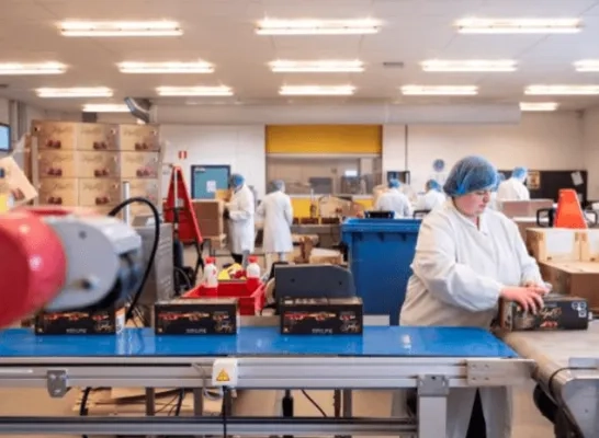 maatwerkbedrijf kaliber