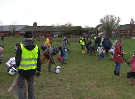 opruimactie_windhoos_putte_060124.jpg