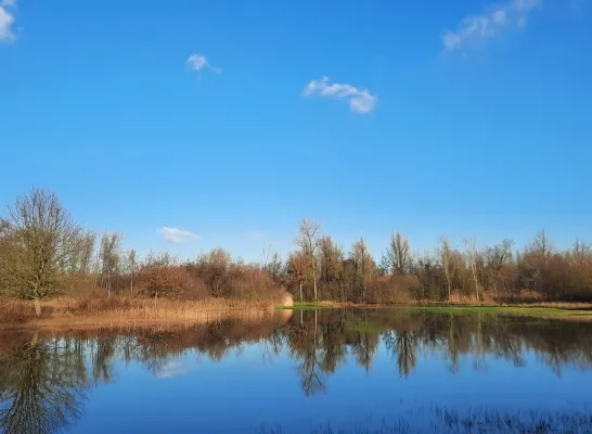 kindernouw_lille_120124_-_foto_natuurpunt_lille.jpg