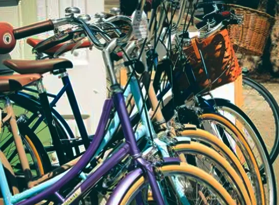 Puurs- St-Amands fietsen te koop Puurs- St-Amands fietsen te koop
