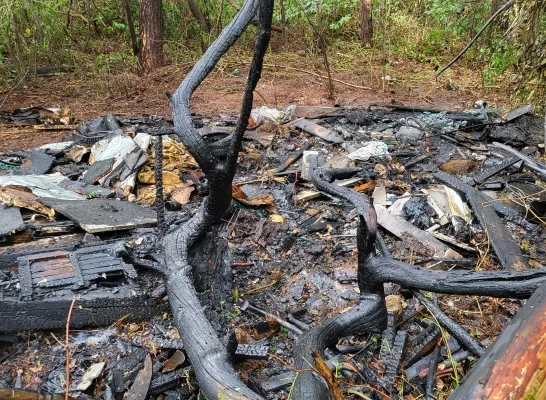 Sluikstort vat vuur in bos in Geel