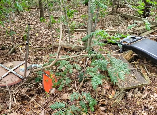 Er lag nog meer afval in het bos