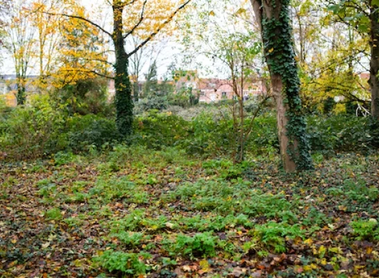 tuin_wordt_park_nekkerspoel_260124_-_foto_stad_mechelen.jpg