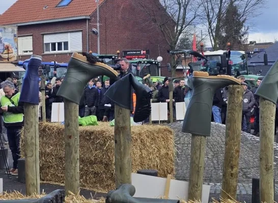 boeren_merksplas_3001_03_jpg.jpg