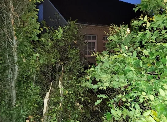 Auto gaat van de weg en belandt in voortuin in Olmen