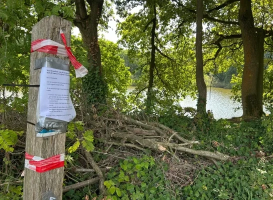 Botulisme in vijver Beerse?