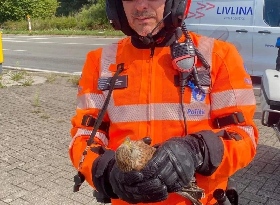Politie redt torenvalk