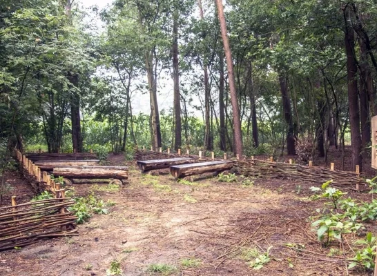 Natuurbegraafplaats Geel Natuurbegraafplaats Geel