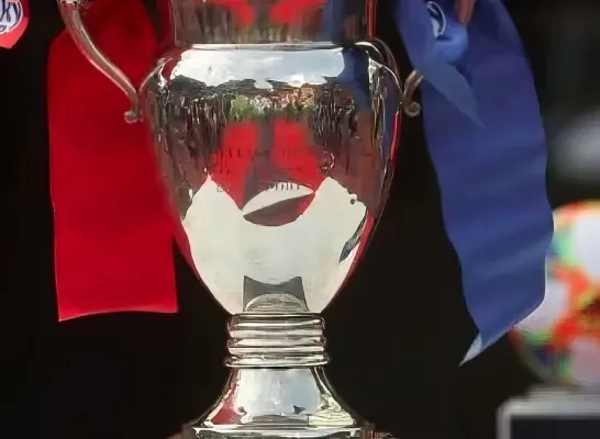 crokycup
