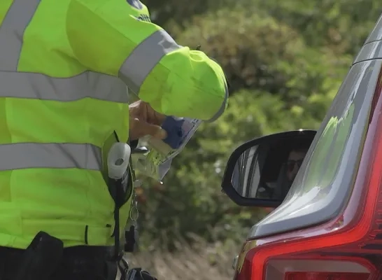 controle politie na reggae geel 