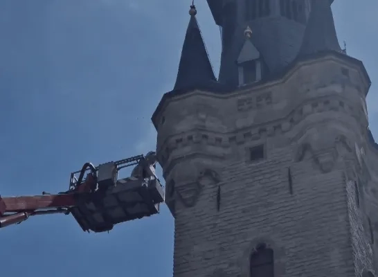 Nest hoornaars aan stadhuis Lier Nest hoornaars aan stadhuis Lier