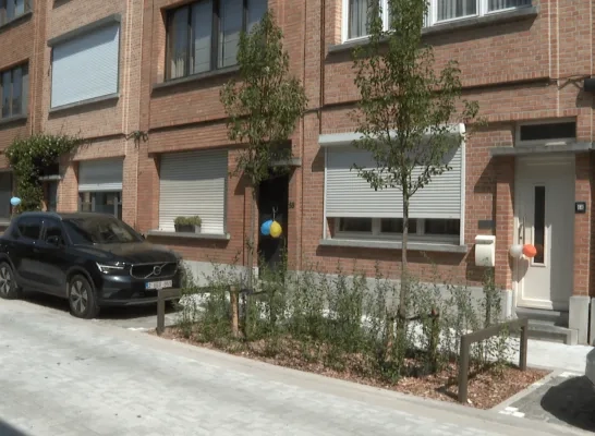 Donkerlei buurt Mechelen-Noord groener
