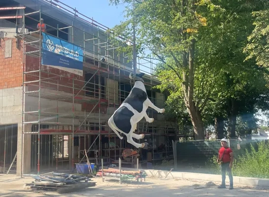 De Meent gemeentehuis Olen koe hoogste punt werken
