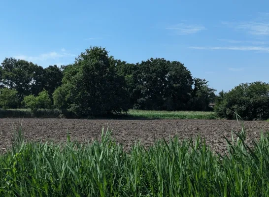 maanhoevevallei katelijn