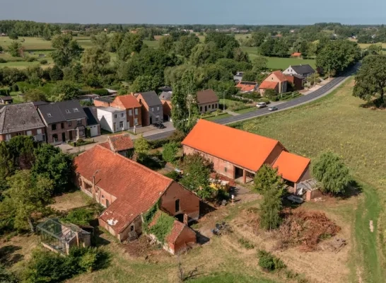 Duifhuis Berlaar