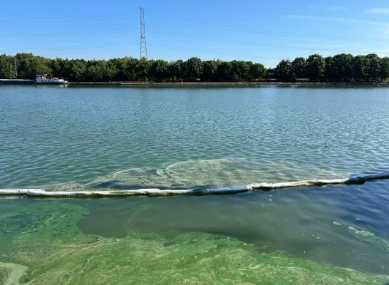 Vrachtschip lekt 10.000 liter olie in Albertkanaal Olen Vrachtschip lekt 10.000 liter olie in Albertkanaal Olen