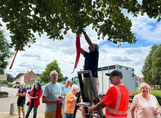 rood lint voor Gaza vredesboom Lichtaart Kasterlee