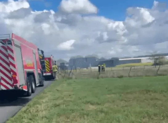 stalbrand Vorst-Laakdal