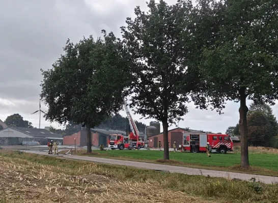 gemeente Ravels 