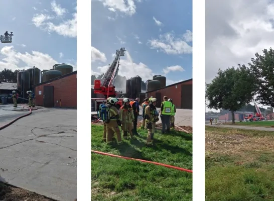 brand kippenstal Weelde 