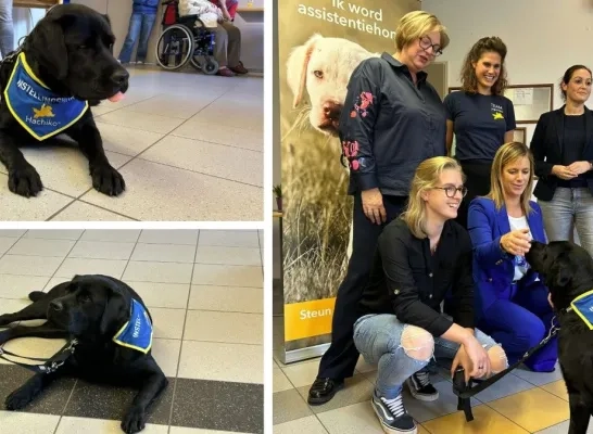 Hond Charlie in woonzorgcentrum Grobbendonk