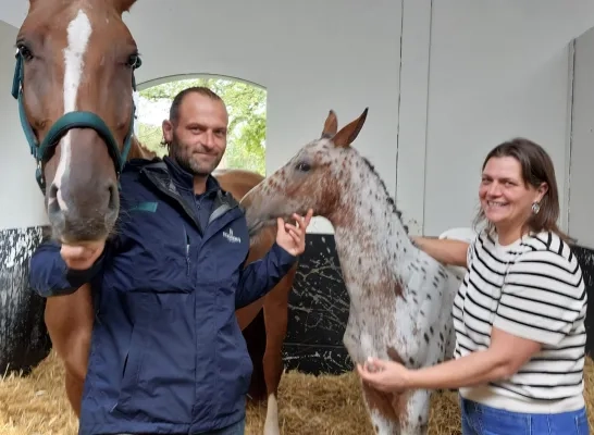 Spikkel haalt op veiling 125.000 euro