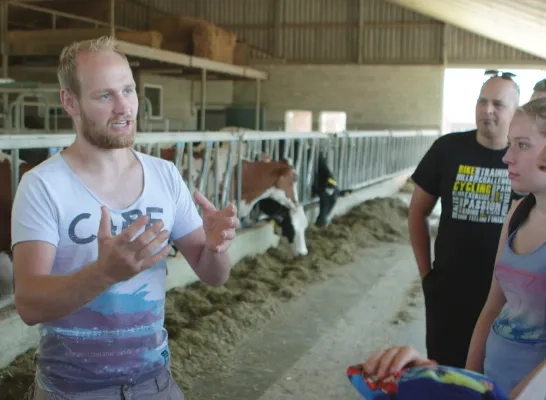 Koeien knuffelen bij boer Ben