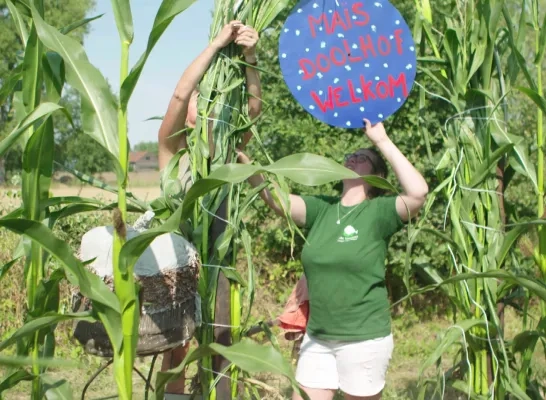 Liefde is samen een boerderij runnen