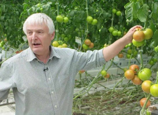 Duurzame tomaten en mensen