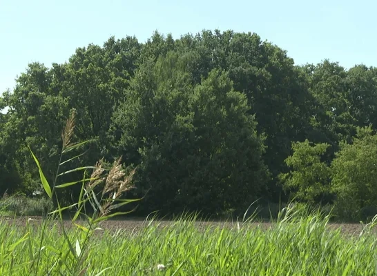 Maenhoevevelden Sint-Katelijne-Waver dossier woonproject