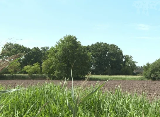 Maenhoevevelden Sint-Katelijne-Waver dossier woonproject