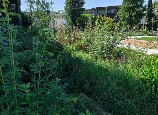 Tuin Sint-Pietersinstituut Turnhout