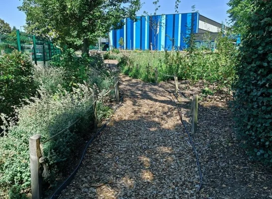 Tuin Sint-Pietersinstituut Turnhout