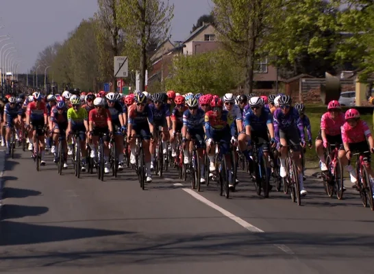 scheldeprijs 