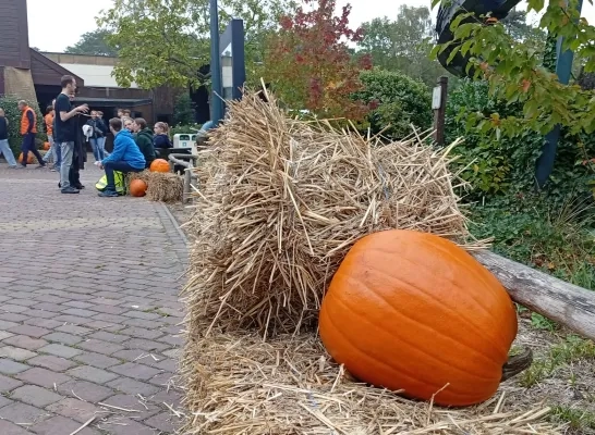 Halloween Bobbejaanland 2025