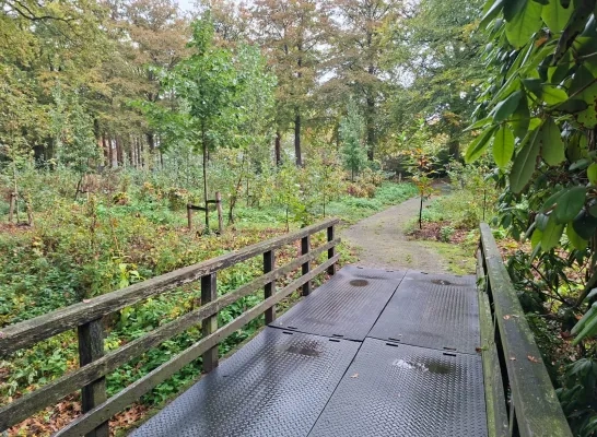 Turnhout werkt aan natuurbegraafplaats op Nazareth