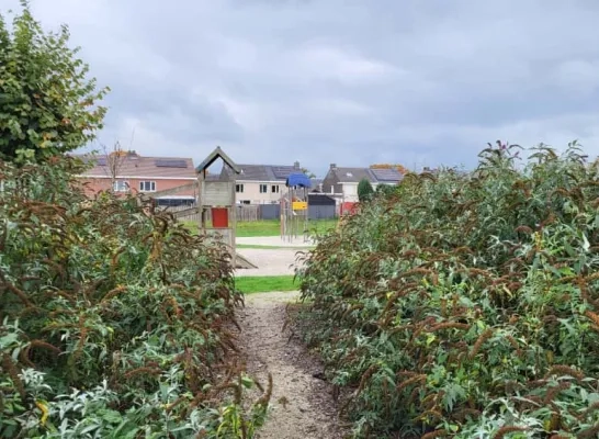 Grote zoekactie in Weelde-Statie: gevangene gevat Grote zoekactie in Weelde-Statie: gevangene gevat