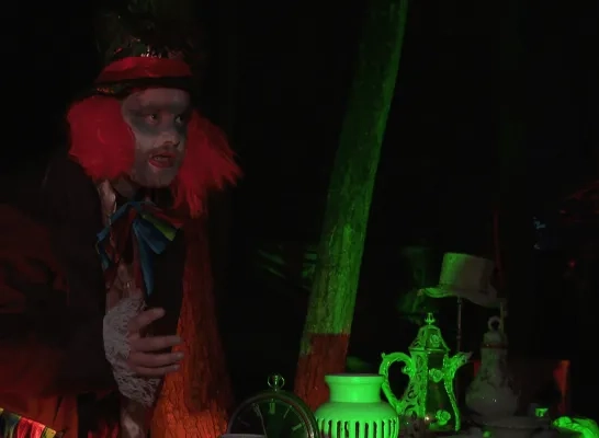 The Haunted Forest Lichtaart Halloween The Haunted Forest Lichtaart Halloween