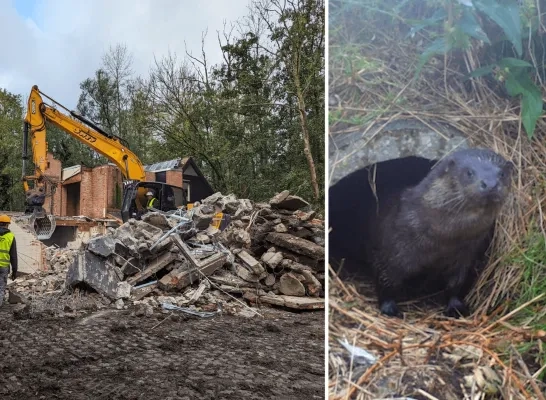 afbraak oud jeugdverblijf Bornem Weert otter