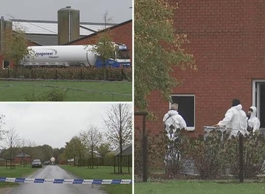 Vogelgriep in bedrijf in Weelde Vogelgriep in bedrijf in Weelde