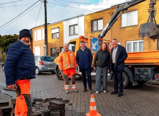 wijkonderhoud katelijne.p wijkonderhoud katelijne.p