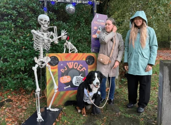 hondenhalloween hondenhalloween