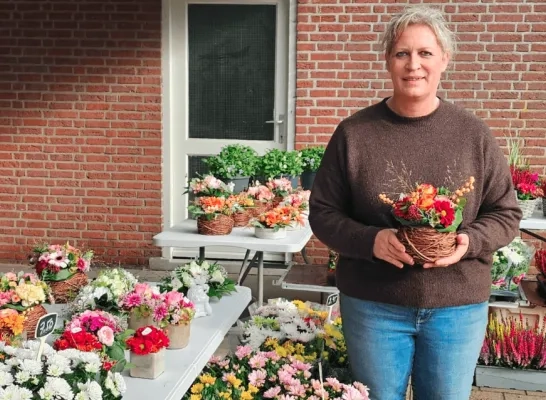 chrysanten aan kerkhof Geel chrysanten aan kerkhof Geel